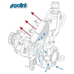 Polini Thor 80 liquide